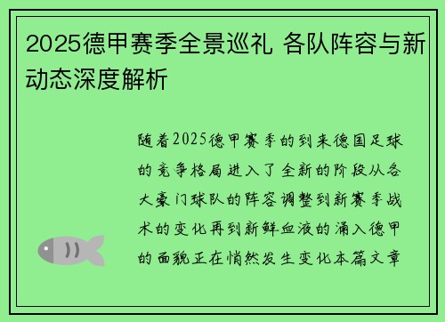 2025德甲赛季全景巡礼 各队阵容与新动态深度解析